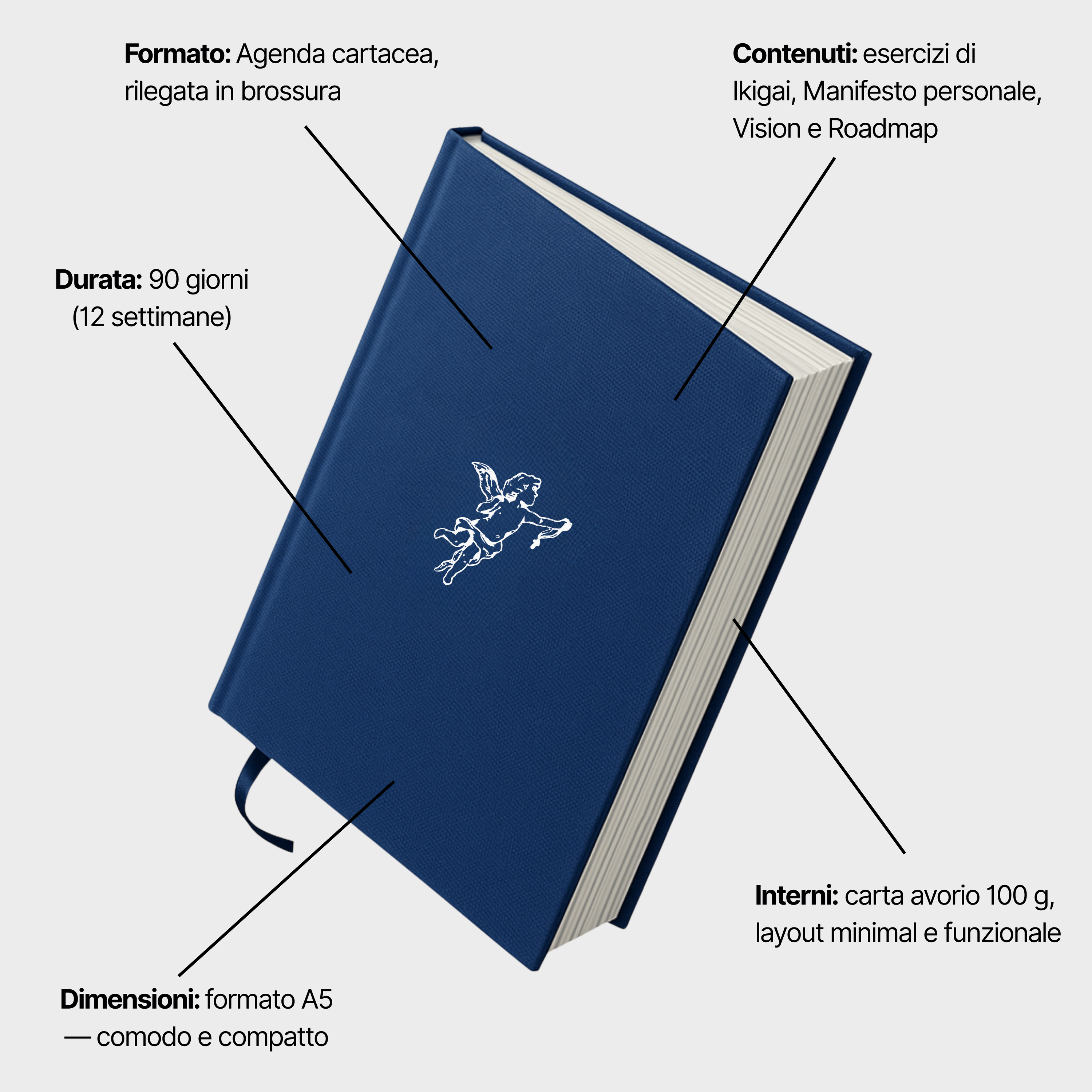 PROJECT90 AGENDA // IL CONCEPIMENTO